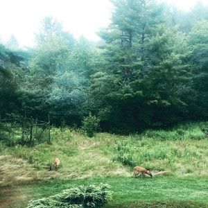 Meet your Posher, Alicia